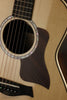 Taylor Guitars GT 811e  Acoustic Electric Guitar New