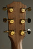 Taylor Guitars 50th Anniversary AD14ce-SB LTD Acoustic Electric Guitar New