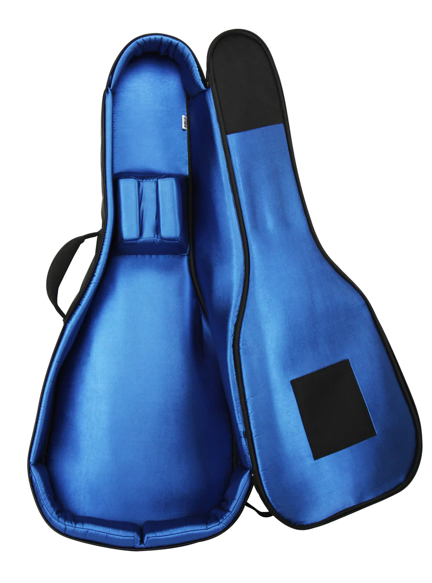 Reunion blues semi hollow gig bag online