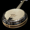 L.R. Baggs Banjo Pickup