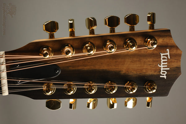 Taylor's New 200 Series 12-String Guitars – Gryphon Strings