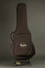 Taylor Guitars GTe Urban Ash Steel String Acoustic Guitar New