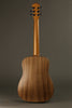 Taylor Guitars Baby Taylor (BT1) Steel string Acoustic Guitar New