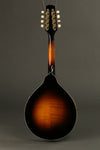 Kentucky KM-500 Mandolin New