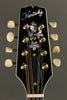 Kentucky KM-500 Mandolin New