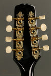 Kentucky KM-500 Mandolin New