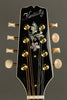 Kentucky KM-505 Mandolin New