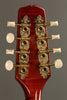 Kentucky KM-505 Mandolin New