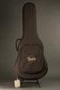 Taylor 210ce Plus Acoustic Electric Guitar - New