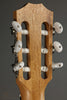 Taylor Guitars Academy 12e-N Nylon String Acoustic Guitar New