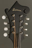Eastman MD315 F-Hole F-Style Mandolin in Classic Finish New