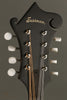Eastman MD315 F-Hole F-Style Mandolin in Classic Finish New