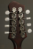 Eastman MD305 Mandolin New