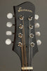 Eastman MD305 Mandolin New