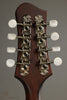 Eastman MD305 Mandolin New