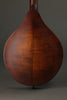 Eastman MD305 F Hole A Body Mandolin New