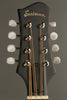 Eastman MDO305  Octave Mandolin New