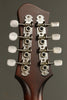 Eastman MDO305  Octave Mandolin New