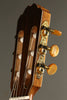 Kremona Rondo R65CWC Nylon String Acoustic-Electric Guitar New