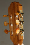 Kremona Rondo R65CWC Nylon String Acoustic-Electric Guitar New
