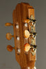 Kremona Rondo R65CWC Nylon String Acoustic-Electric Guitar New