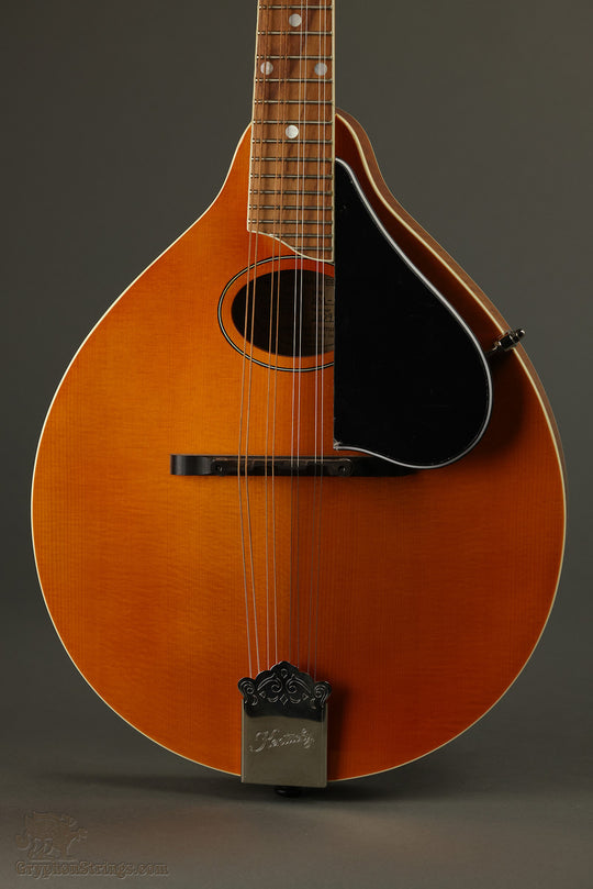Kentucky KM-272 Deluxe Mandolin New