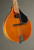 Kentucky KM-272 Deluxe Mandolin New