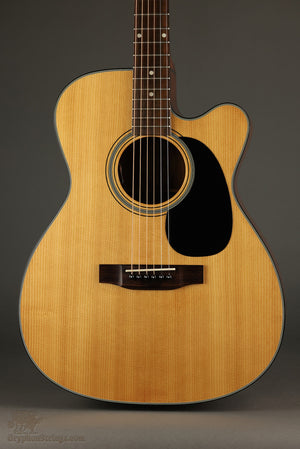 2019年製 Eastman AR810CE AR810CE - Eastman Guitars