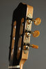 Kremona Rosa Luna Flamenco Nylon String Acoustic Electric Guitar New