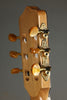 Kremona Rosa Luna Flamenco Nylon String Acoustic Electric Guitar New