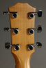 Taylor Guitars Academy 10 Steel String Acoustic Dreadnought Guitar New