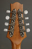 KR Strings Octolindo S Artist Octave Mandolin New