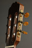 Kremona Sofia S63CW Nylon String Acoustic Electric Guitar New