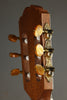 Kremona Sofia S63CW Nylon String Acoustic Electric Guitar New