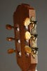 Kremona Sofia S63CW Nylon String Acoustic Electric Guitar New