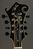 Northfield Artist Series NFA-F51I Italian Spruce Mandolin - New