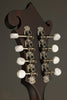 Eastman MD314 Mandolin - New