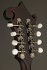 Eastman MD314 Mandolin - New