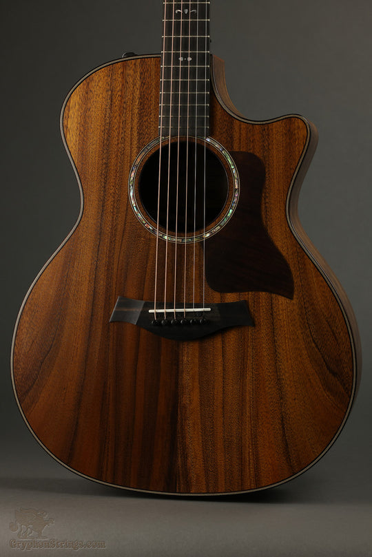 Taylor Guitars 724ce Acoustic Electric Guitar New