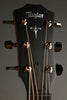 Taylor Guitars 724ce Acoustic Electric Guitar New