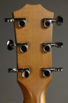 Taylor Guitars Big Baby Walnut BBTe Acoustic Electric Guitar New