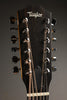 Taylor Guitars 150e Acoustic Electric 12-String Guitar New