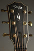 Taylor Builder's Edition 816c Acoustic Guitar - New
