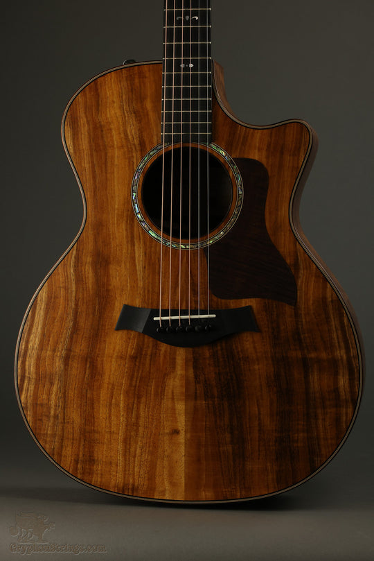 Taylor Guitars 724ce Acoustic Electric Guitar New