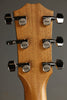 Taylor Guitars 414ce-R Acoustic Electric Guitar New