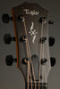 Taylor Guitars 424ce LTD Urban Ash Acoustic Guitar New