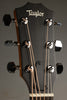 Taylor 114ce Walnut Acoustic Electric Guitar New