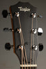 Taylor 114ce Walnut Acoustic Electric Guitar New