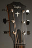 Taylor Guitars 414ce-LTD Sinker Redwood Acoustic Electric Guitar New
