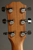 Taylor Guitars 414ce-LTD Sinker Redwood Acoustic Electric Guitar New